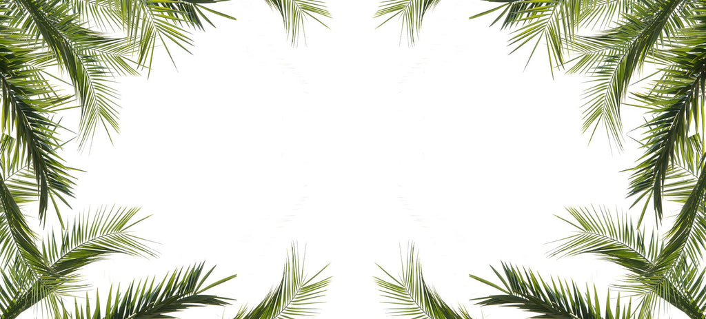 The Heartbreaking Story Behind Palm Sunday-Christian Strong